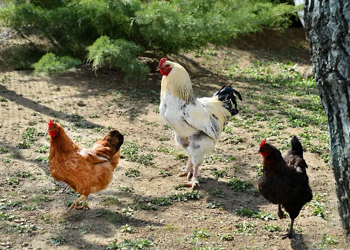 Photo de Doktorun Oteli Haymana