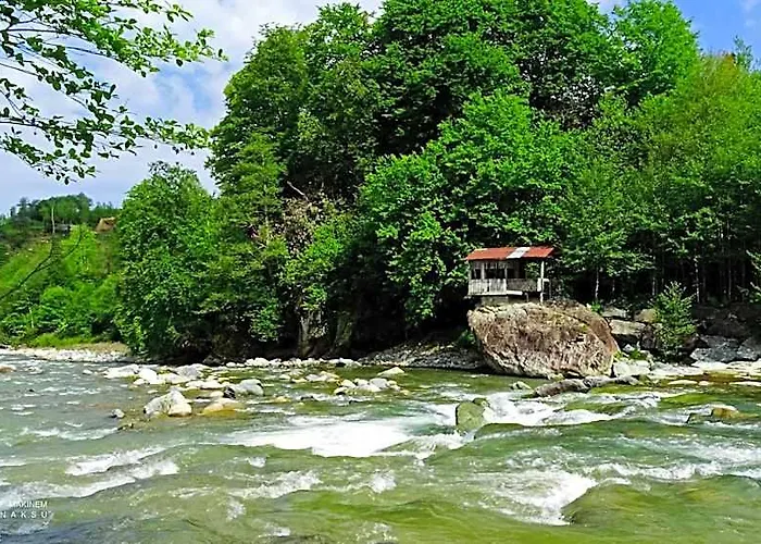 Teona Bungalow & Restaurant Kayacik  photo