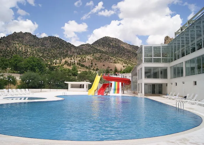 Ciftehan Thermal Hotel photo