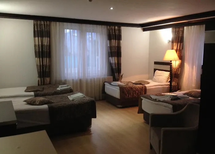 Photo de Di̇Vri̇Gi̇ Otel Divrigi