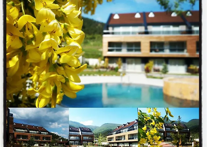 Borvo Thermal Resort & Spa Demirciler photo