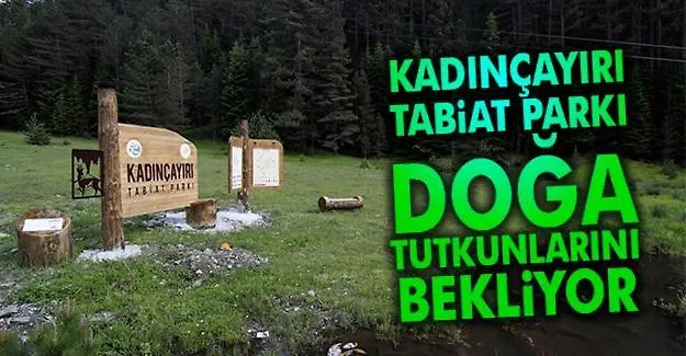 Kadincayiri Zipline Ve Piknik Alani Konsopa Tesisleri Hotel Comar photo